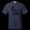 Unisex EcoSmart® T-Shirt Thumbnail